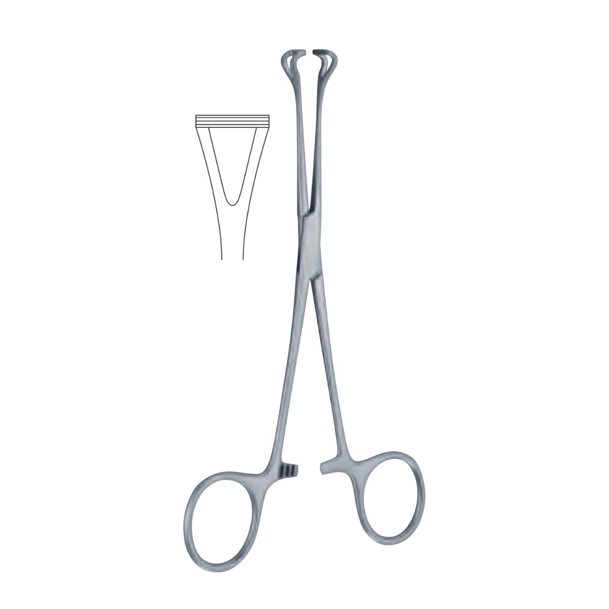 Pinze Emostatiche Mixter 23 Cm - Vendita Online: Prezzi Per Medici E