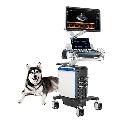 Ultrasonidos de gabinete veterinarios