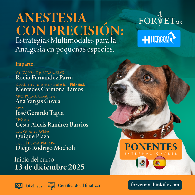 Curso: ANESTESIA CON PRECISIÓN: Estrategias Multimodales para la Analgesia en pequeñas especies. 🐾💉