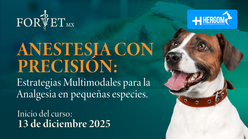 Curso: ANESTESIA CON PRECISIÓN: Estrategias Multimodales para la Analgesia en pequeñas especies. 🐾💉