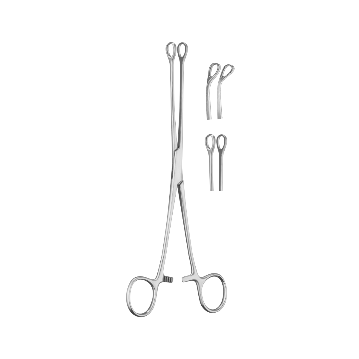 Pince éponge Foerster de haute qualité à mâchoire dentelée droite Instruments ch Pince éponge Foerster de haute qualité à mâchoire dentelée droite Instruments ch