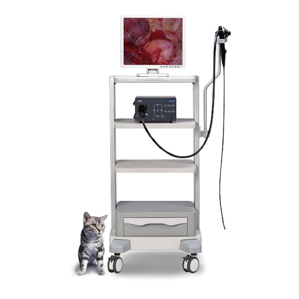 Sistema de Imagen para Endoscopia Veterinaria Vetina ES3 - Marca Mindray Animal Care