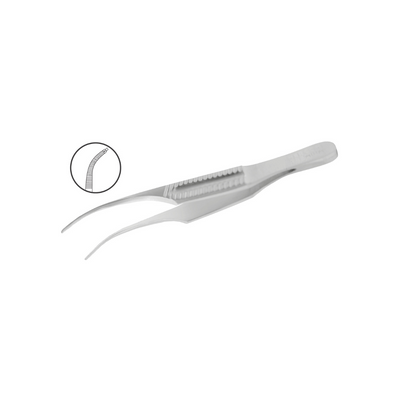 Pinza Colibrí Gill - Marca Hergom Premium