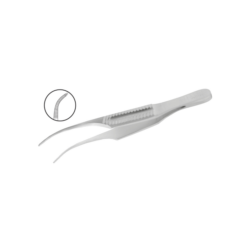 Pinza Colibrí Gill - Marca Hergom Premium