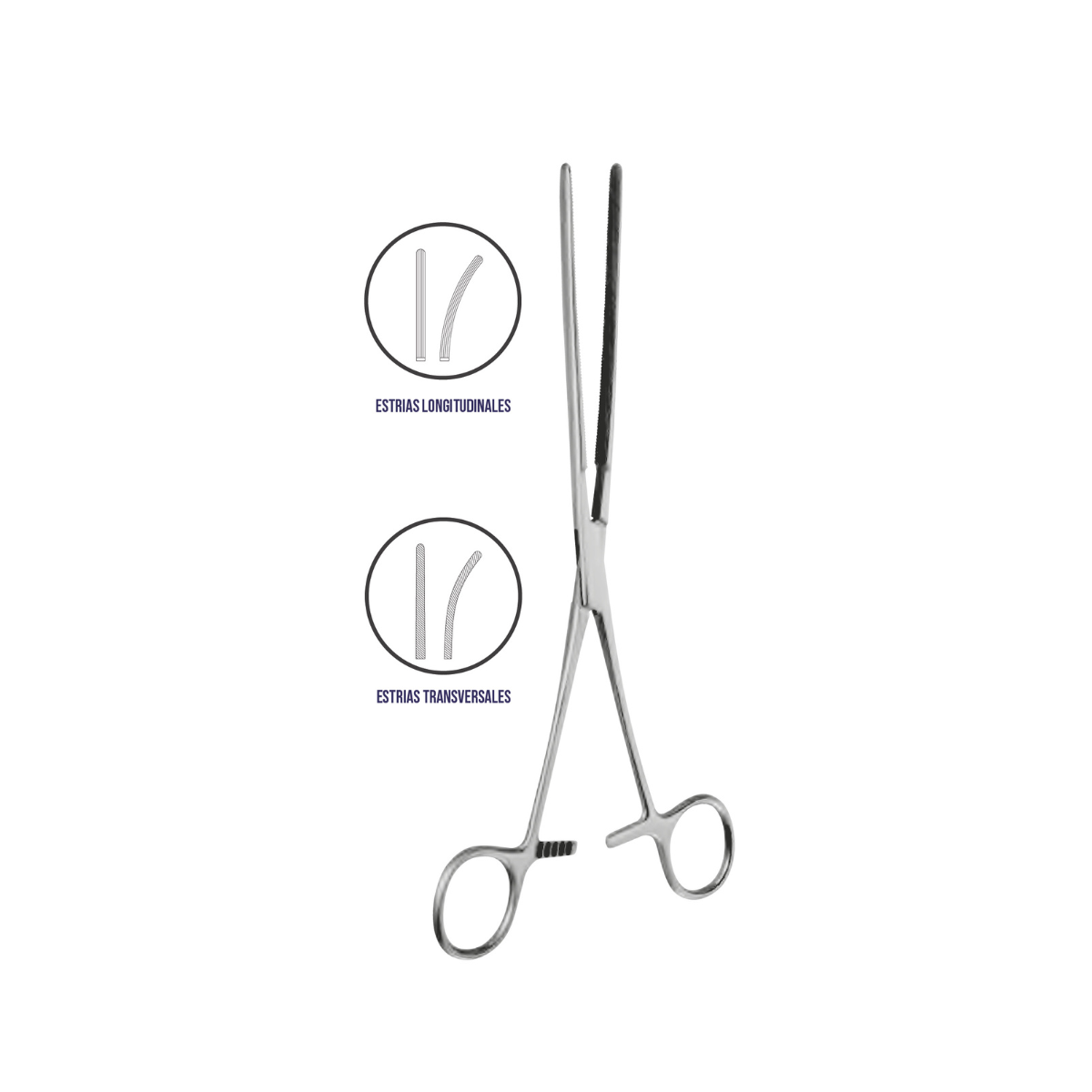 Pinza Intestinal Pinza Doyen Intestinal - Marca Hergom Medical – HERGOM MEDICAL