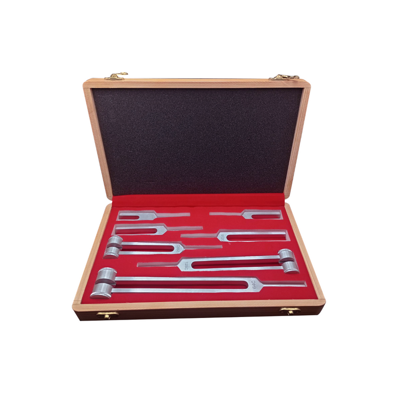 Set Completo de Diapasones Médicos con Estuche Hergom Silvery | Acero inoxidableSet Completo de Diapasones Médicos con Estuche Hergom Silvery | Acero inoxidable