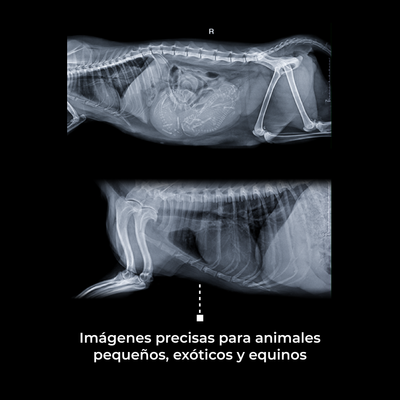 Generador de Rayos X Portátil Veterinario - Marca SIUI