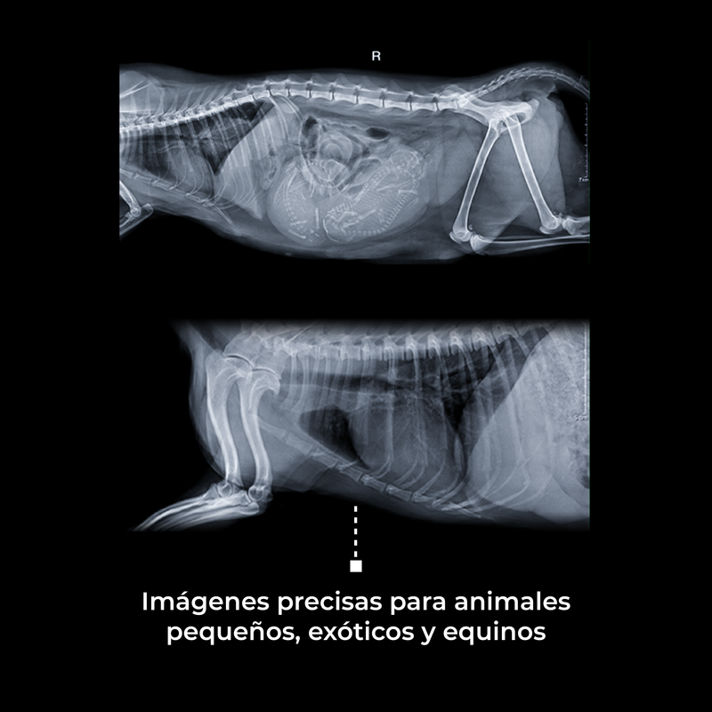 Generador de Rayos X Portátil Veterinario - Marca SIUI