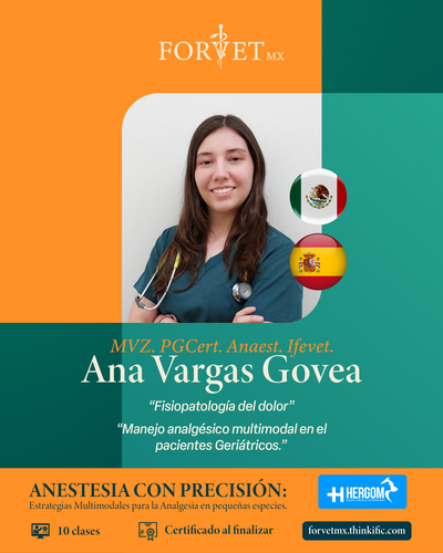 Curso: ANESTESIA CON PRECISIÓN: Estrategias Multimodales para la Analgesia en pequeñas especies. 🐾💉
