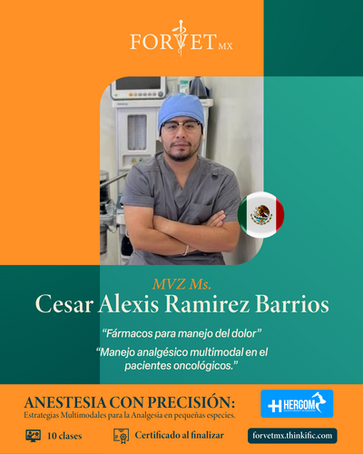 Curso: ANESTESIA CON PRECISIÓN: Estrategias Multimodales para la Analgesia en pequeñas especies. 🐾💉