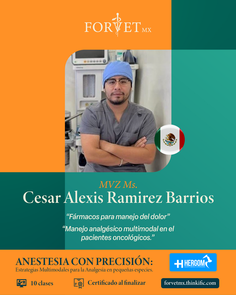 Curso: ANESTESIA CON PRECISIÓN: Estrategias Multimodales para la Analgesia en pequeñas especies. 🐾💉