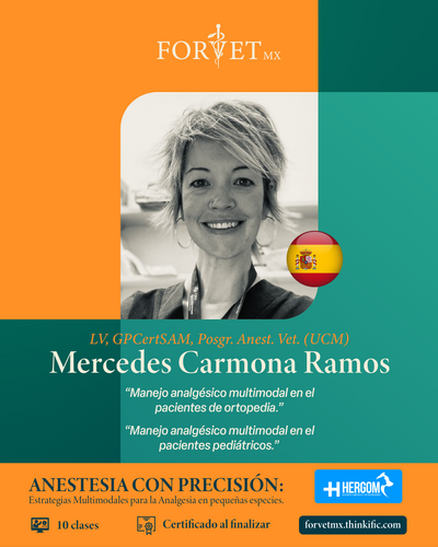 Curso: ANESTESIA CON PRECISIÓN: Estrategias Multimodales para la Analgesia en pequeñas especies. 🐾💉